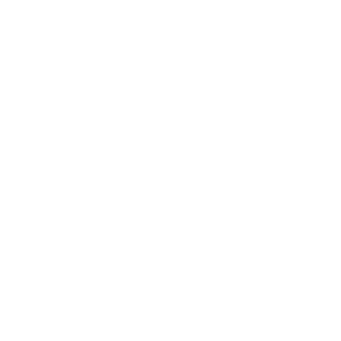 Cerby-ADP-logo