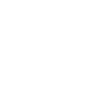 Cerby-Cisco-logo