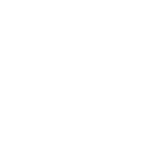 Cerby-Instagram-logo