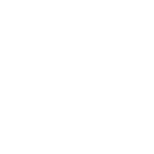 Cerby-New-York-Times-logo
