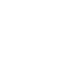 Cerby-Wifi-logo