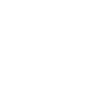 Cerby-megaphone-logo